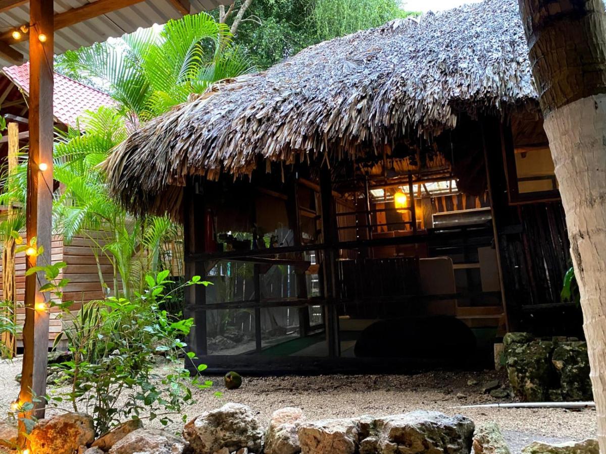 Holiday park Hostal & Camping Magic
