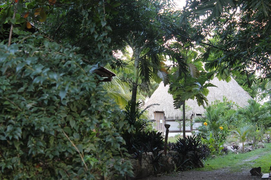 Hostal&camping Magic * Bacalar